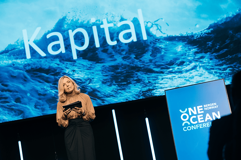 Podatki od inwestycji i zysków kapitałowych w Norwegii | localmarket.no